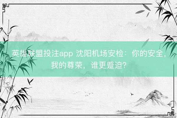 英雄联盟投注app 沈阳机场安检：你的安全，我的尊荣，谁更蹙迫？