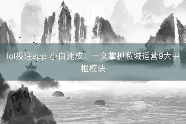 lol投注app 小白速成：一文掌抓私域运营9大中枢模块