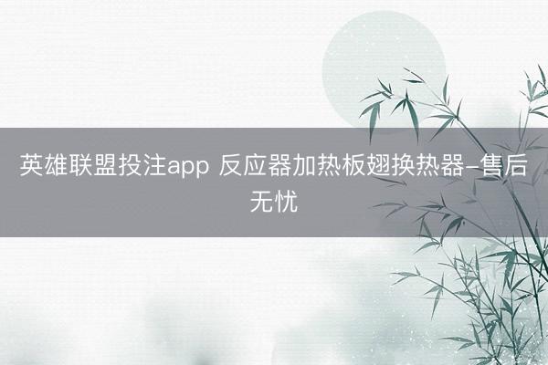 英雄联盟投注app 反应器加热板翅换热器-售后无忧