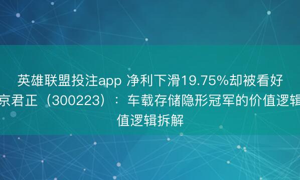 英雄联盟投注app 净利下滑19.75%却被看好？北京君正（300223）：车载存储隐形冠军的价值逻辑拆解