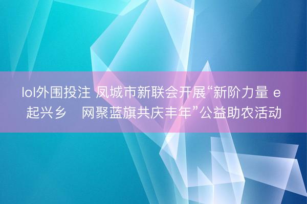 lol外围投注 凤城市新联会开展“新阶力量 e 起兴乡・网聚蓝旗共庆丰年”公益助农活动