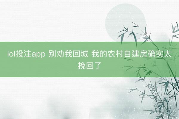 lol投注app 别劝我回城 我的农村自建房确实太挽回了