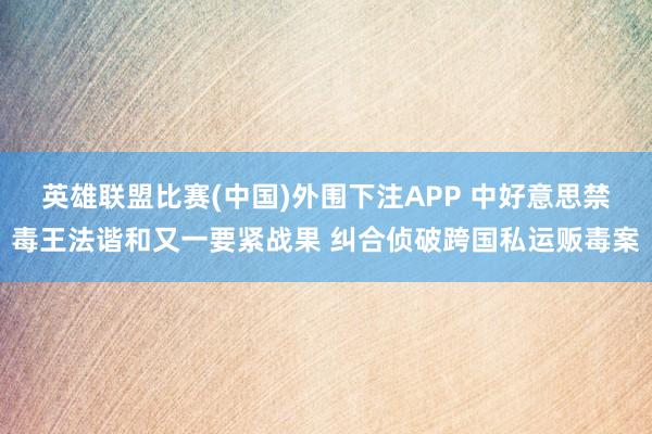 英雄联盟比赛(中国)外围下注APP 中好意思禁毒王法谐和又一要紧战果 纠合侦破跨国私运贩毒案