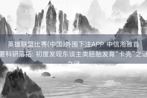 英雄联盟比赛(中国)外围下注APP 中信湘雅首要科研落拓: 初度发现东谈主类胚胎发育“卡壳”之谜